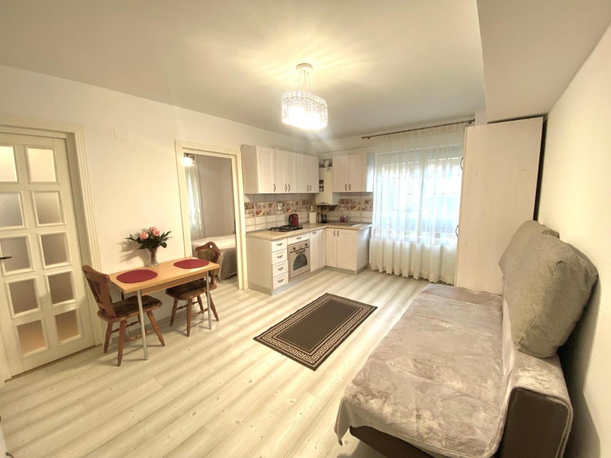 Apartament Sara Apartment Iasi Bagian luar foto